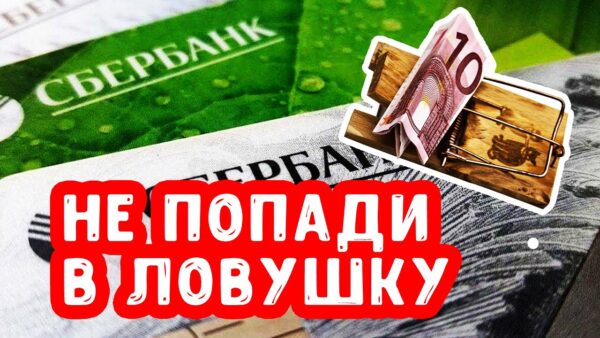 Условия кредитной карты Сбербанка 50 дней – принцип работы и особенности